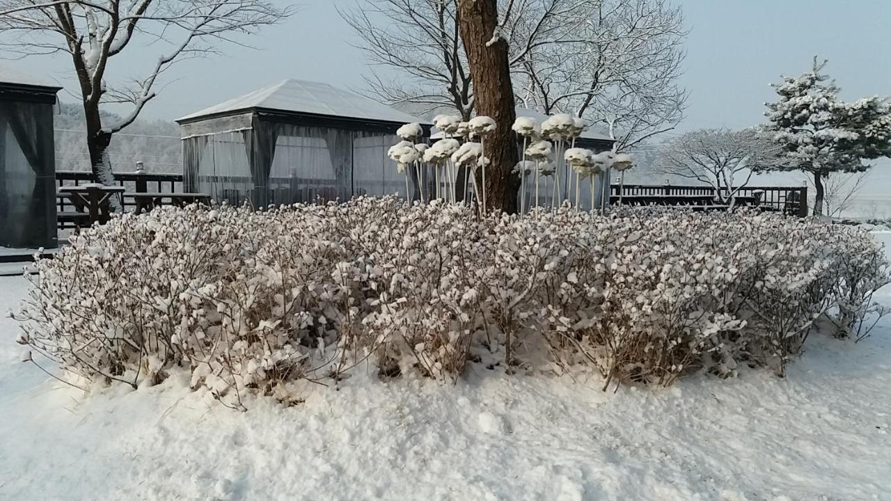 Forest Of Color Pension Hongcheon Luaran gambar