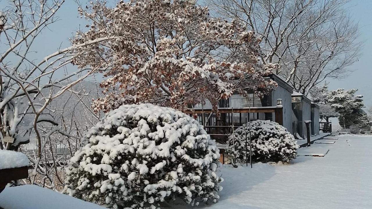 Forest Of Color Pension Hongcheon Luaran gambar