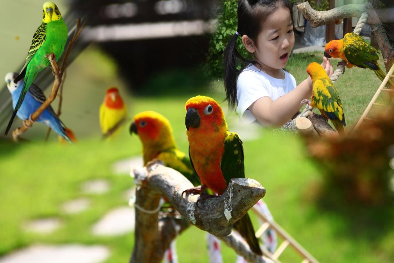 Forest Of Color Pension Hongcheon Luaran gambar